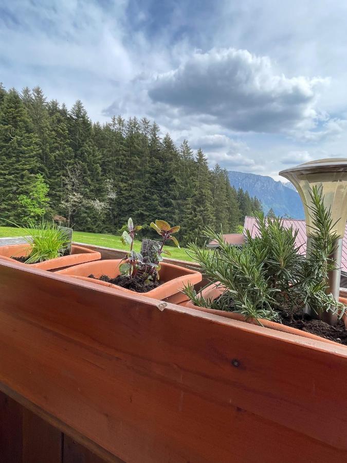 Ferienhaus Praschberg Niederndorferberg Екстериор снимка