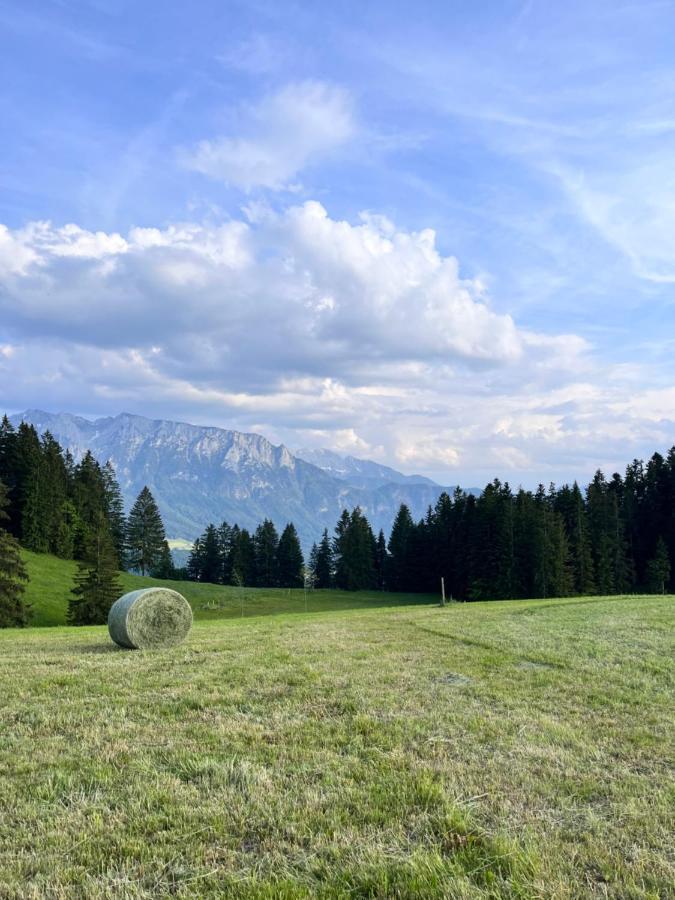 Ferienhaus Praschberg Niederndorferberg Екстериор снимка