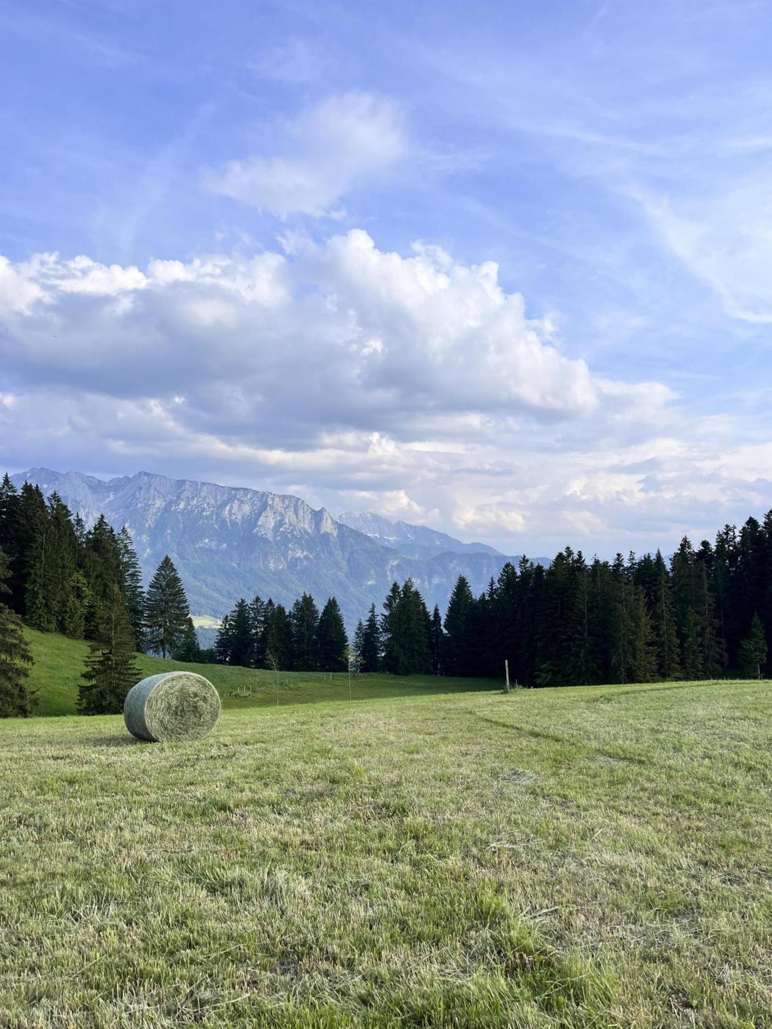 Ferienhaus Praschberg Niederndorferberg Екстериор снимка